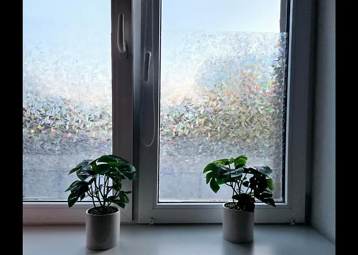 Ursynow بيت شباب *