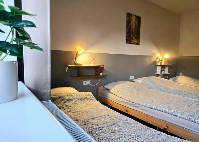 بيت شباب Ursynow *