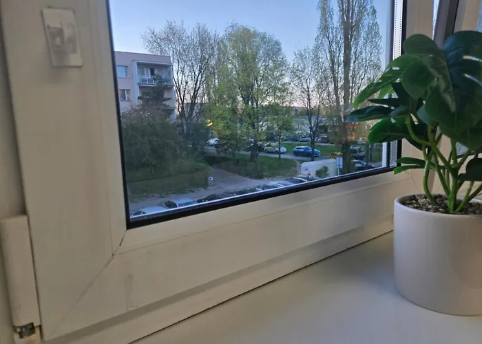 بيت شباب Ursynow *