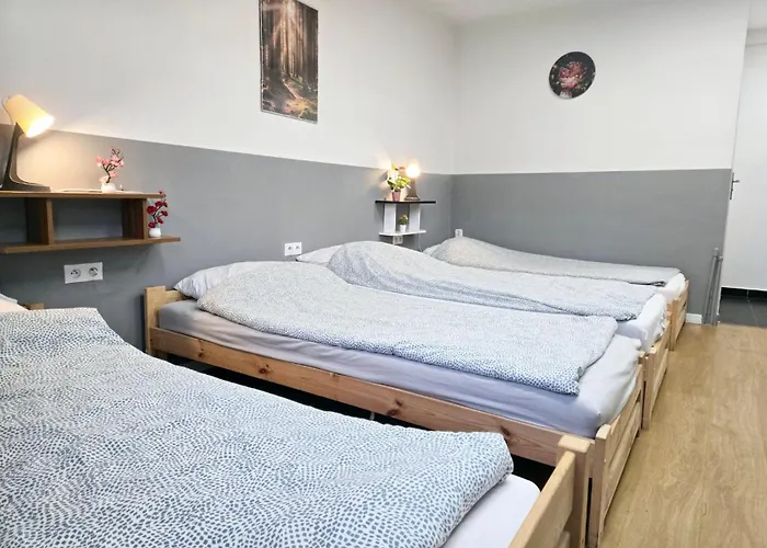 Ursynow بيت شباب *